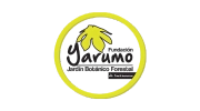 Logo de Fundacion Yarumo, cliente de JAVIBOT