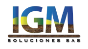 Logo de IGM Soluciones, cliente de JAVIBOT